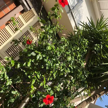 A Casa Di Flavia Апартаменты *